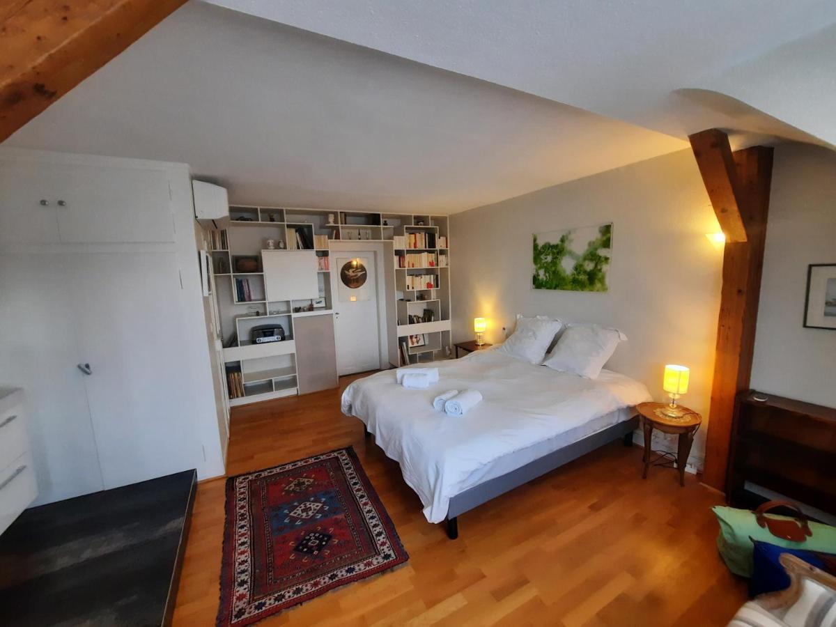 145M² City Center 4 Bedrooms View Of The Cathedral สตราสบูร์ก ภายนอก รูปภาพ